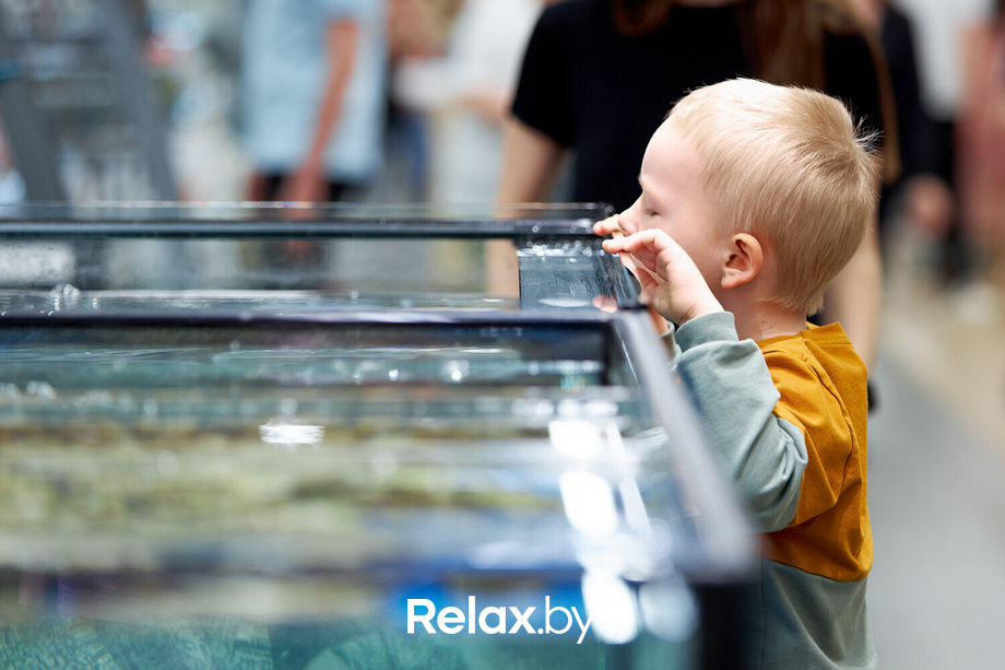 Открытие ГИППО, фото № 42