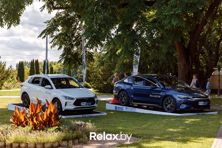 MY WAY, фото № 4