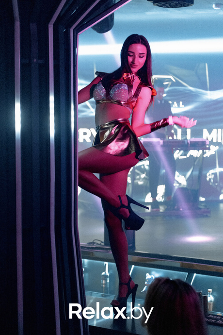 Белый лебедь, фото № 35