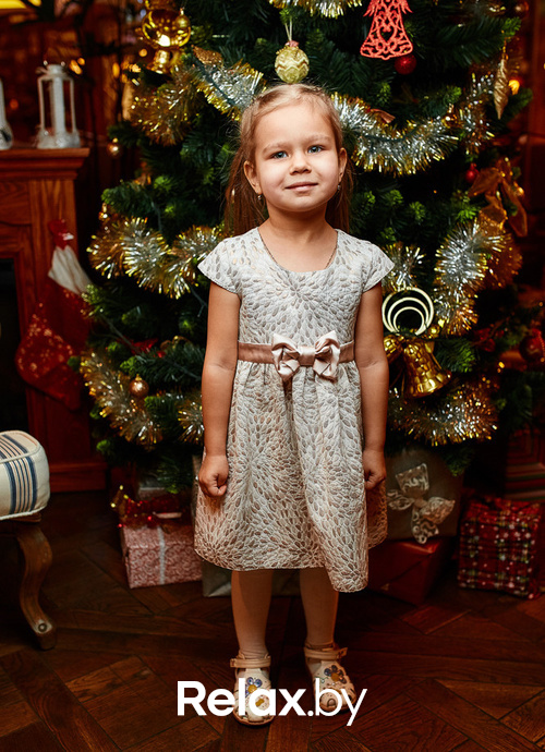 Grand kids christmas party, фото № 35