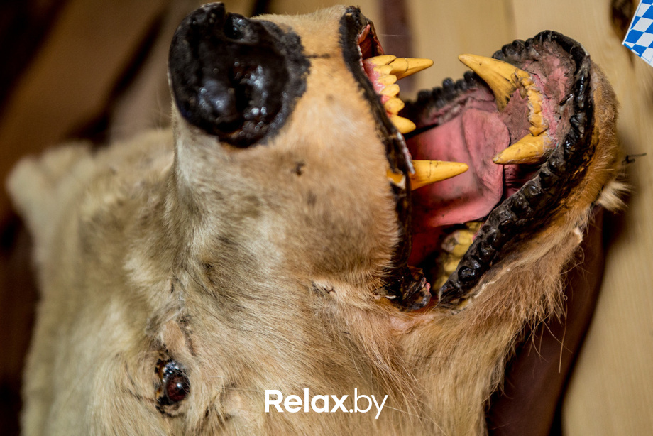 Петь душе не запретишь!, фото № 69