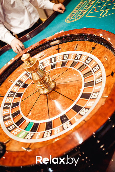 Шоу «Тропикана», фото № 12