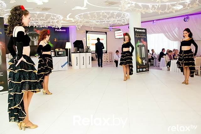 Презентация Panasonic, фото № 53