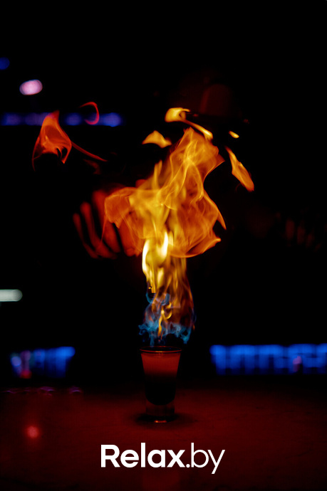 Circus day 2, фото № 23