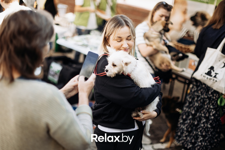 Акция Пушистого Добра, фото № 21