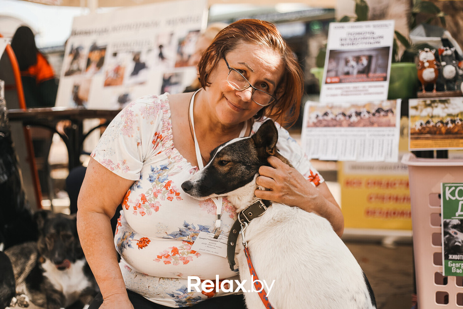 Акция Пушистого Добра, фото № 130