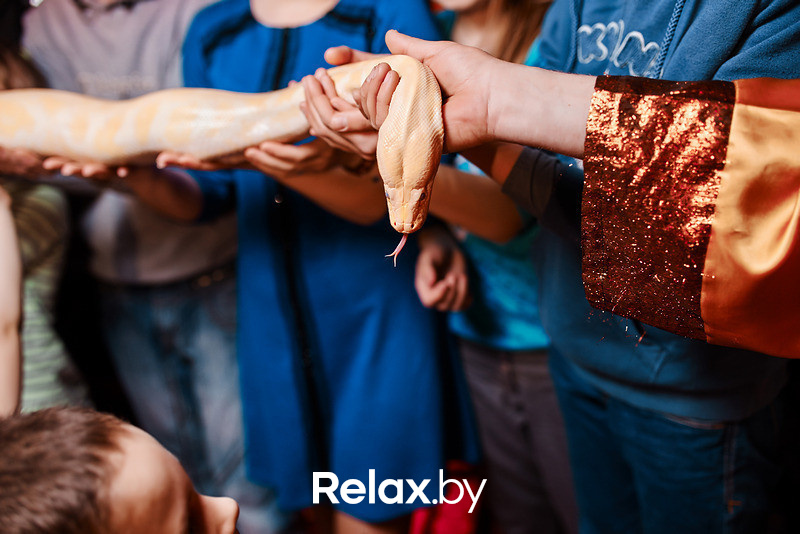 Junior Disco, фото № 179