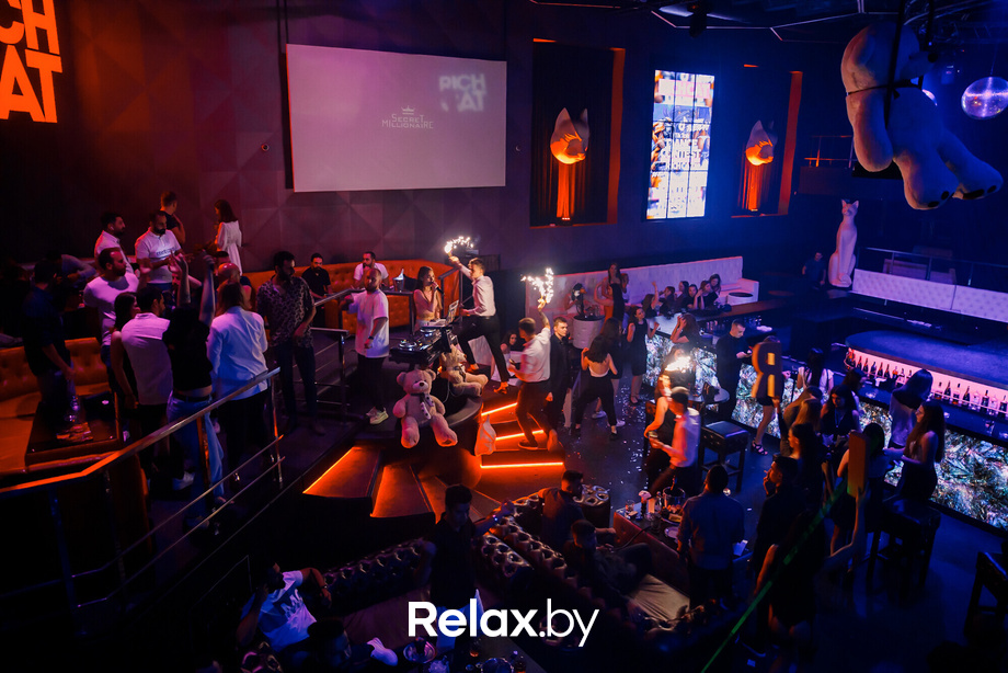 Rich Cat friday, фото № 1