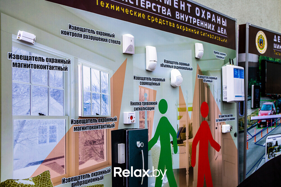 Семейном фестивале «School ON», фото № 48