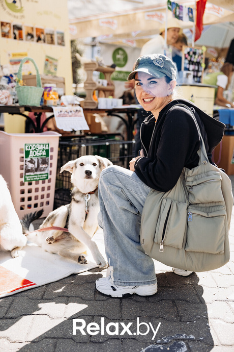 Акция Пушистого Добра, фото № 15