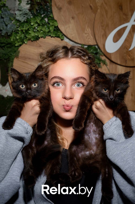 Акция пушистого добра, фото № 8