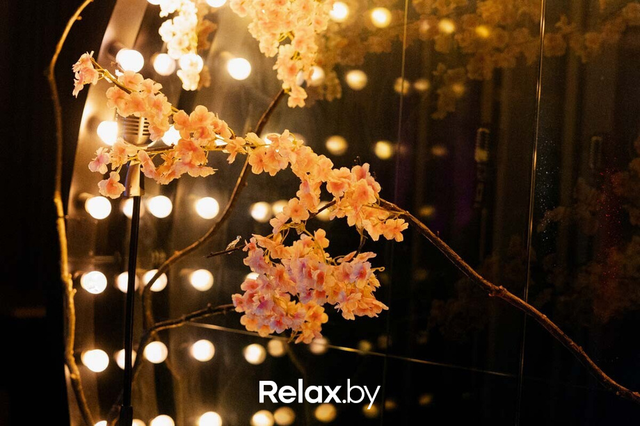 Терра Караоке, фото № 43