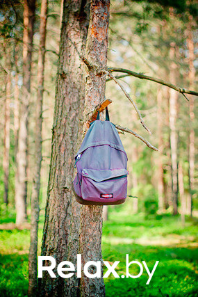 Экспедиция презентация Пикник-отеля, фото № 70