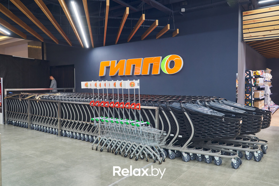 Открытие ГИППО, фото № 66