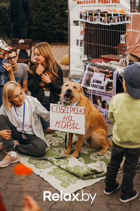 Акция Пушистого Добра, фото № 164