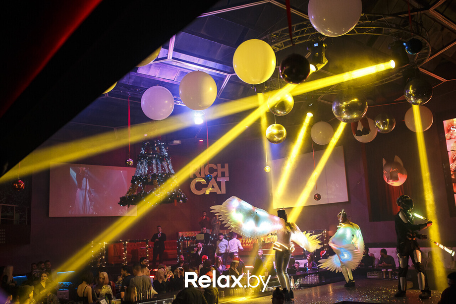 Новый год Rich Cat, фото № 87