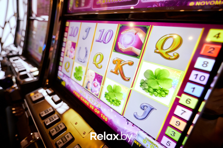 Пекинская капуста, фото № 12