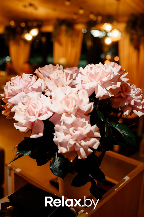 Ночные жители, фото № 65