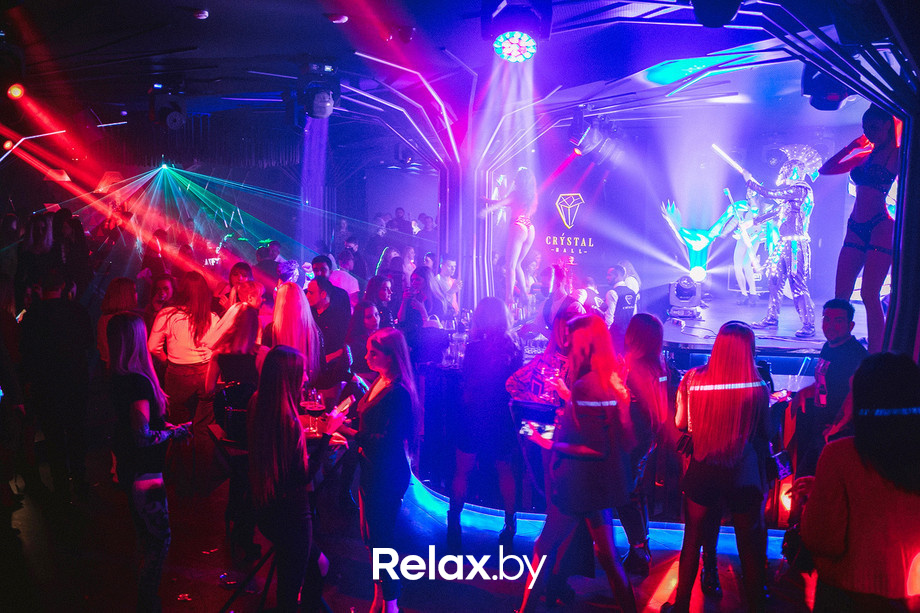 Birds show, фото № 65