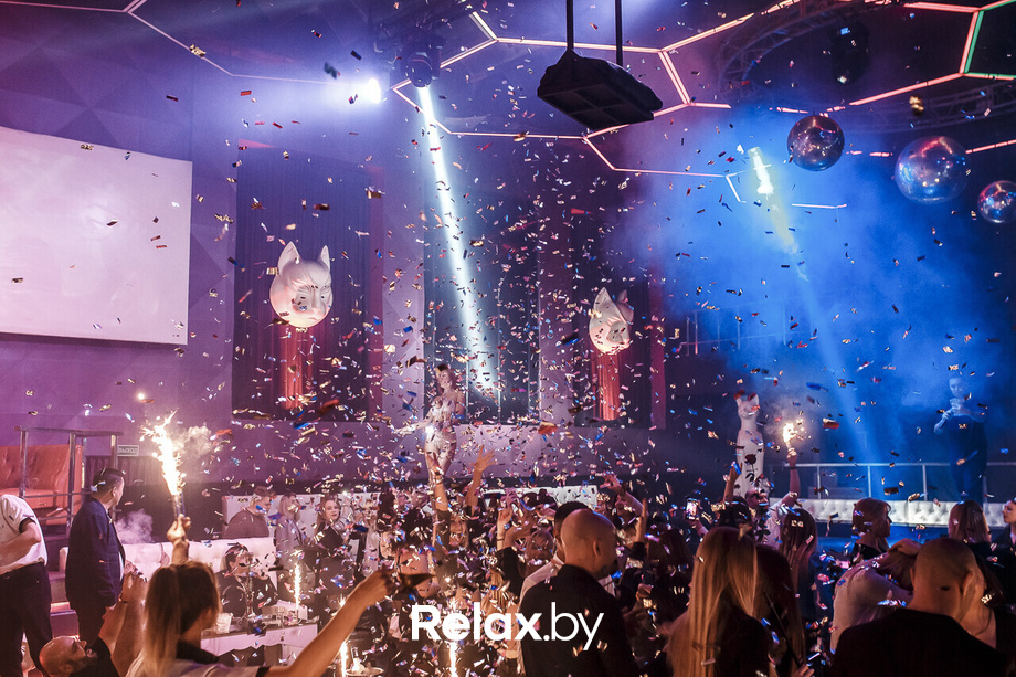 New Season in RICH CAT, фото № 5