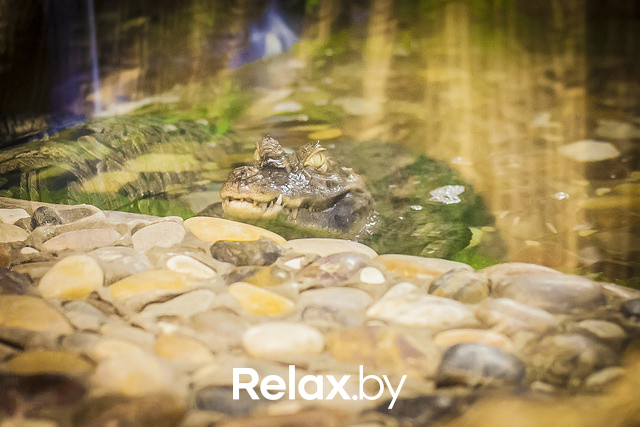 Арбузная суббота, фото № 11