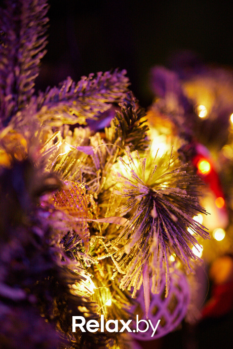 Nua New Year 23, фото № 149