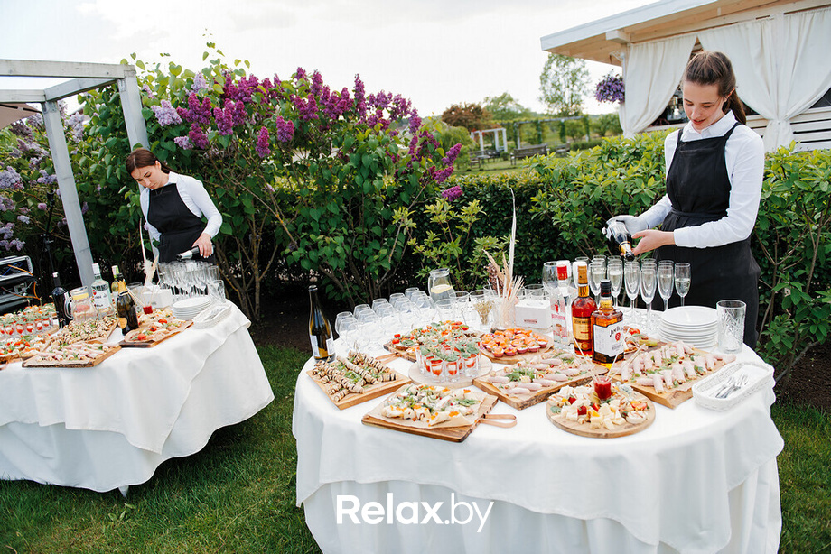 День рождения Светланы Зере, фото № 1