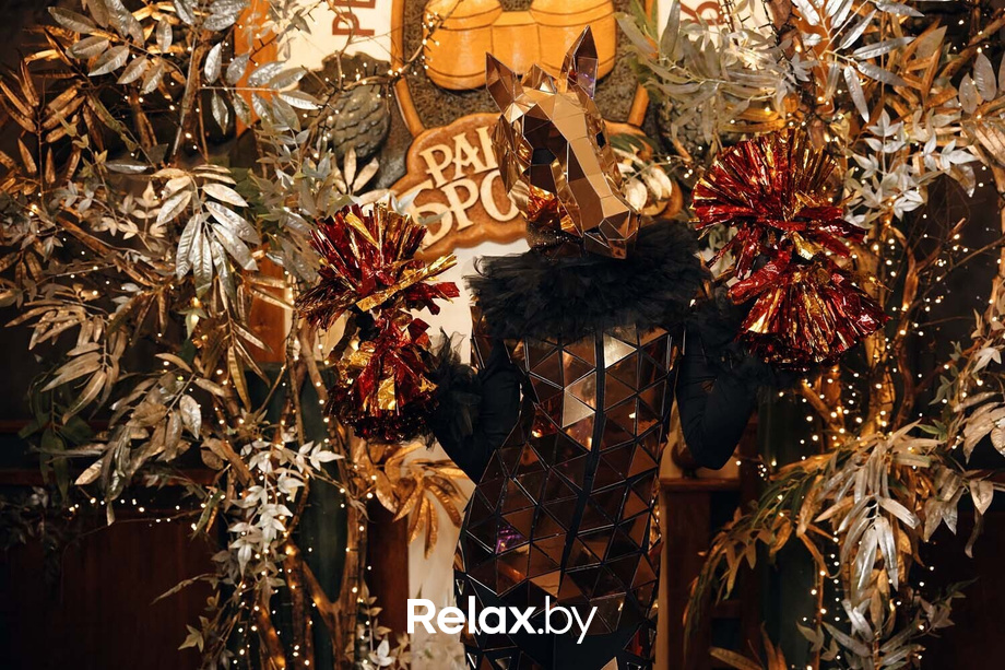 Новогодний экипаж Бровара, фото № 18