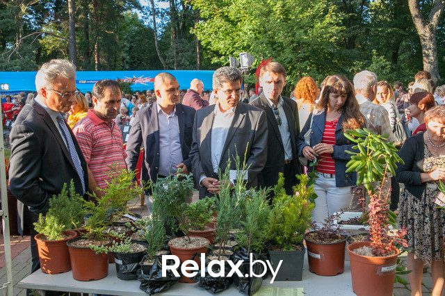 Благотворительный раут, фото № 26