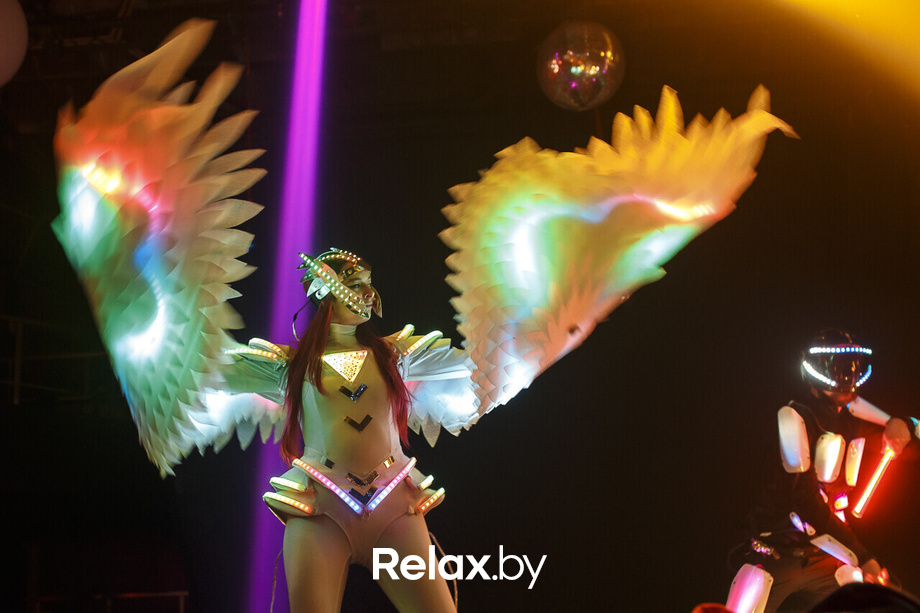 Новый год Rich Cat, фото № 41