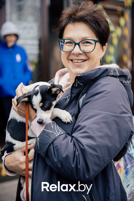 Благотворительная акция пушистого добра, фото № 40