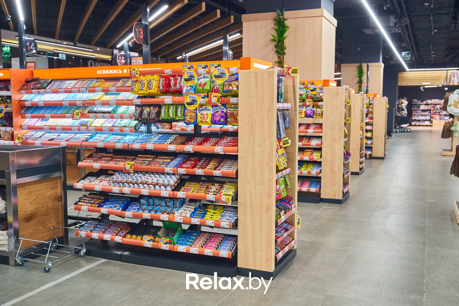 Открытие ГИППО, фото № 83