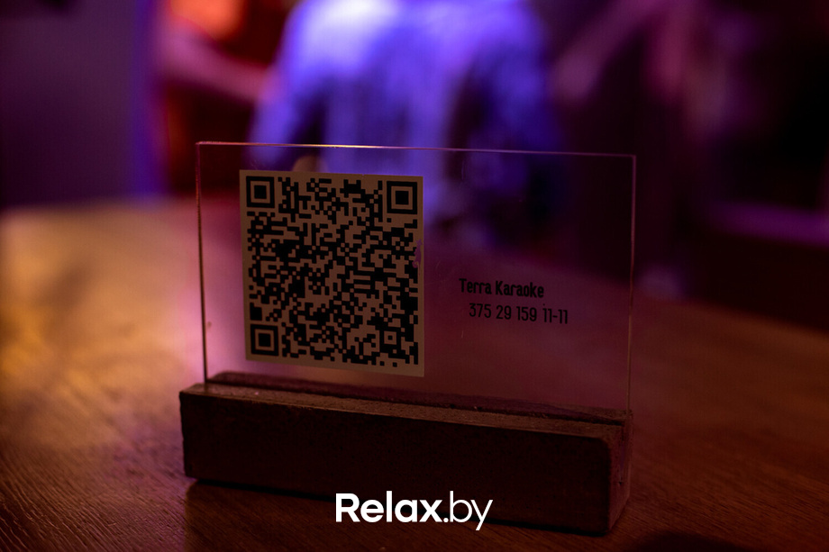 Terra Karaoke, фото № 17
