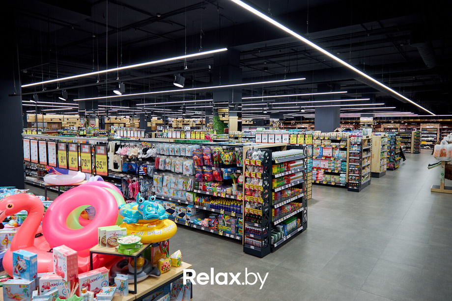 Открытие ГИППО, фото № 5