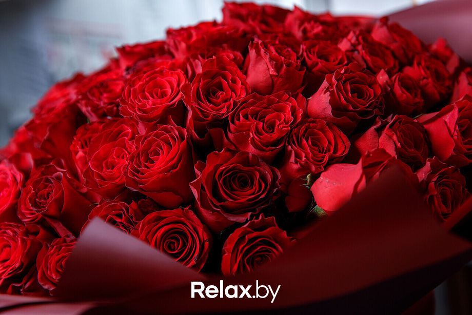 Live Lounge, фото № 19