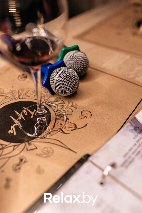 Terra Karaoke, фото № 7