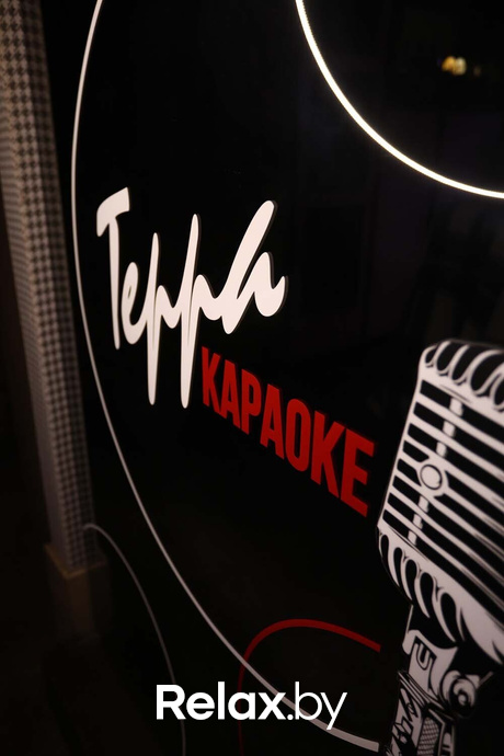 Терра Караоке, фото № 3