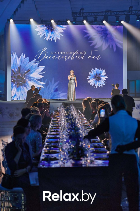Благотворительный Васильковый бал, фото № 87
