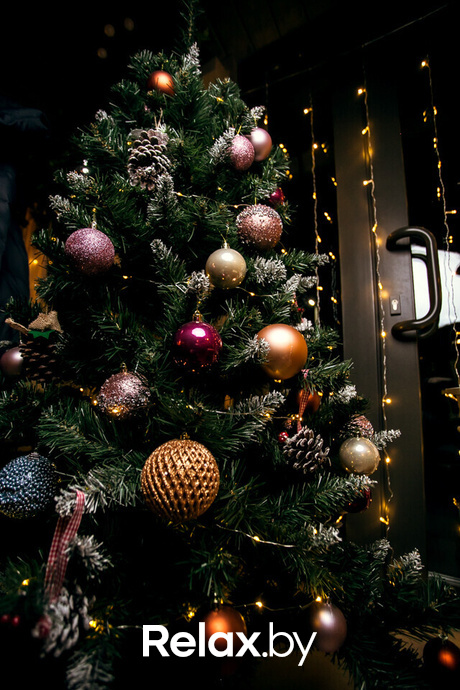 Новогодние вечера в Terra Club, фото № 31