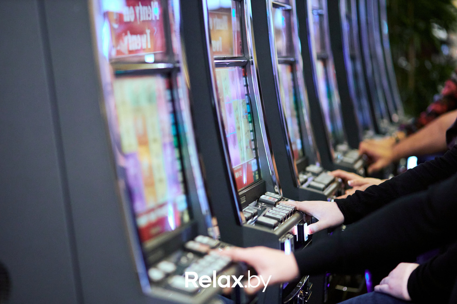 Пекинская капуста, фото № 54