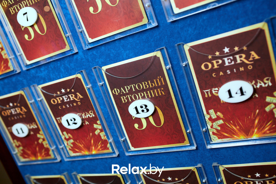 Пекинская капуста, фото № 1