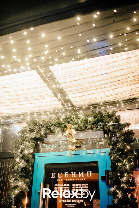 Ёлки 2022, фото № 7