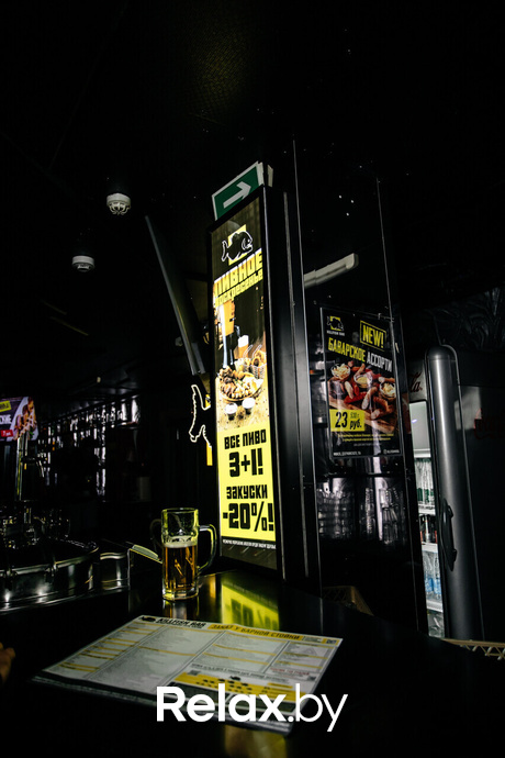 Шуфутинов день, фото № 38