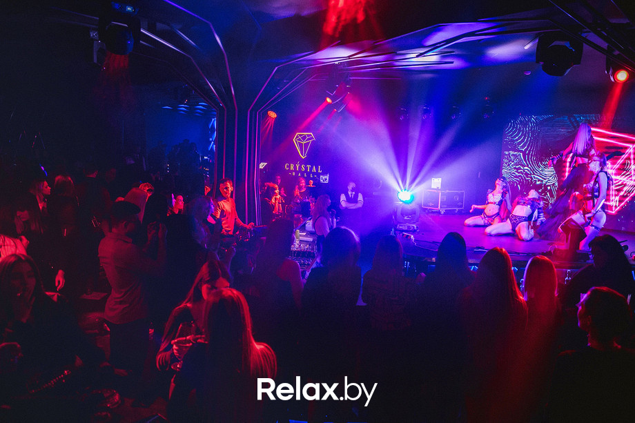 Birds show, фото № 71