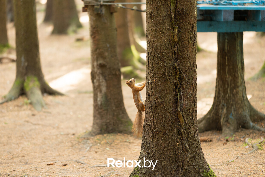 Выпускной в парке активного отдыха «Кольт», фото № 94