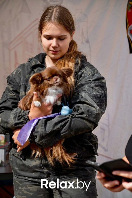 Акция пушистого добра, фото № 47