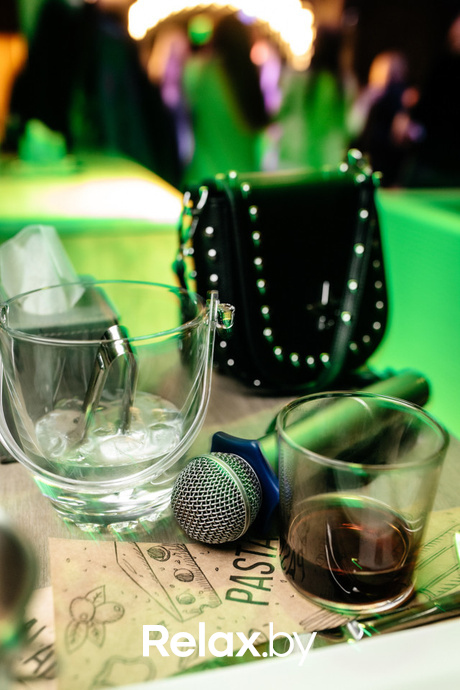 Terra Karaoke, фото № 9