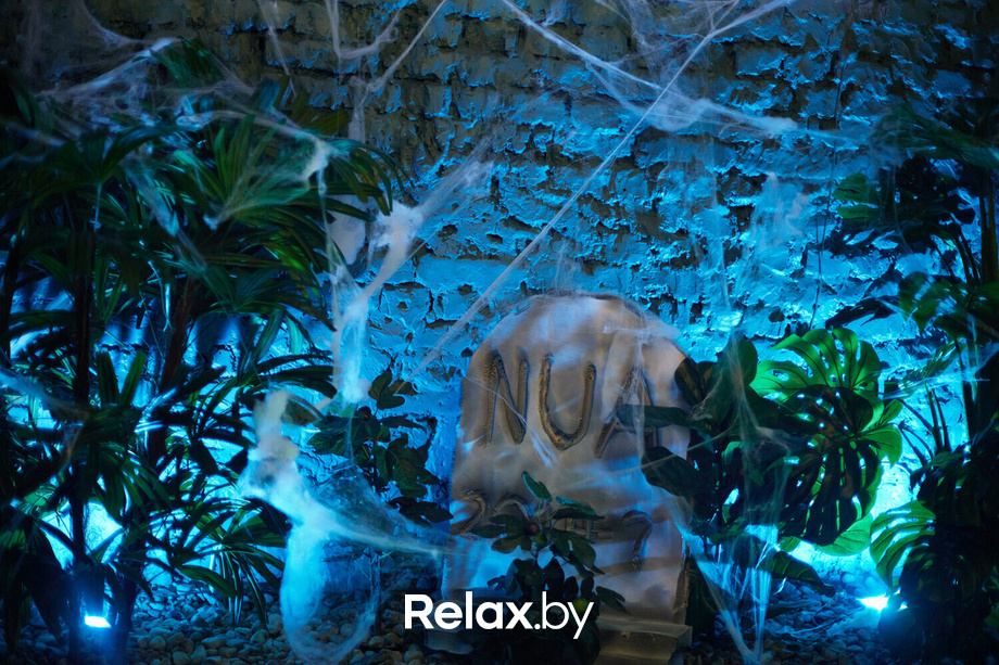 Nua Halloween Party, фото № 71