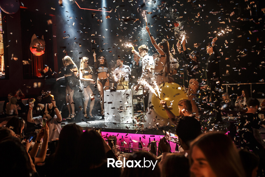 Rich Cat 6 лет, фото № 74