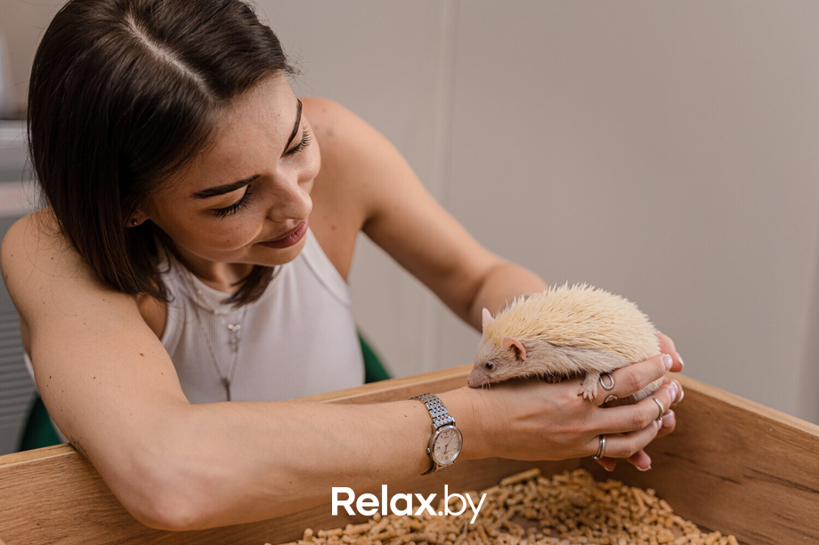 Открытие антикафе «Ёж кафе», фото № 43